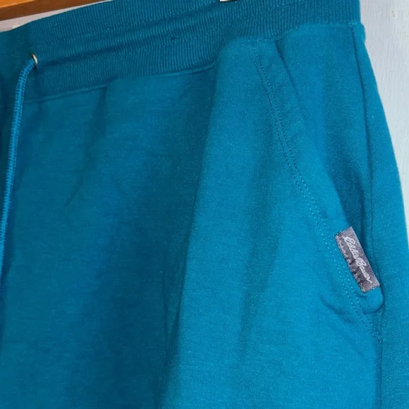 Eddie Bauer Athletic Tennis Skirt Teal Blue Skort Size 2X - Picture 5 of 7